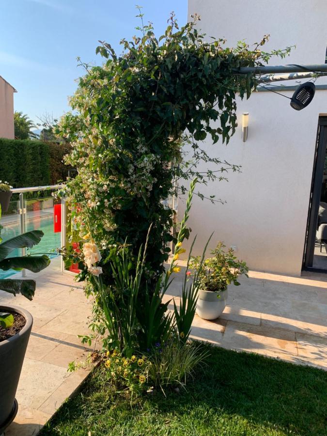 Homestay Villa Elimia Piscine Privee & Chauffee Antibes