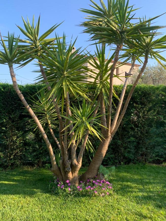 Villa Elimia Piscine Privee & Chauffee Privatunterkunft Antibes